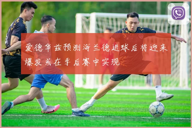 爱德华兹预测海兰德进球后将迎来爆发或在季后赛中实现